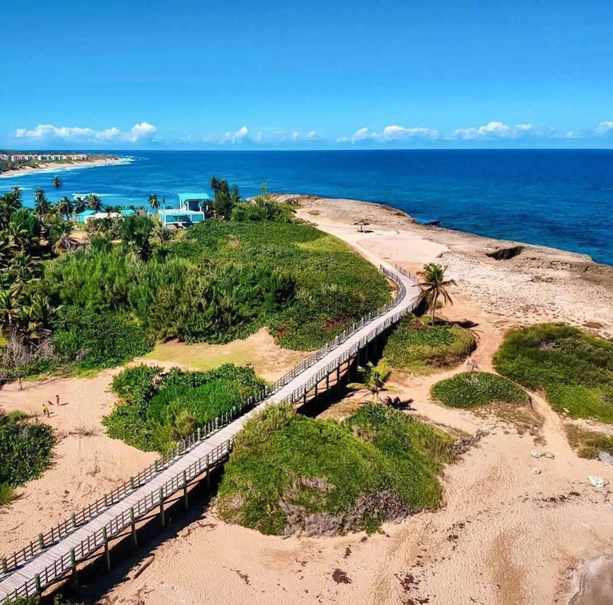 Pasarela de madera entre dunas hacia la playa